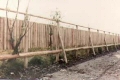 Wall & Fence92.jpg